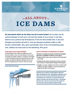 Protection form Ice Dams